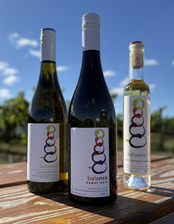 Fall Wine Mix Pack