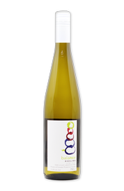 6 Pack 2019 Balance Semi Dry Riesling